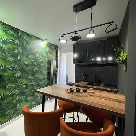 公寓 Luxury Apartament40 *
